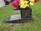 image of grave number 466160